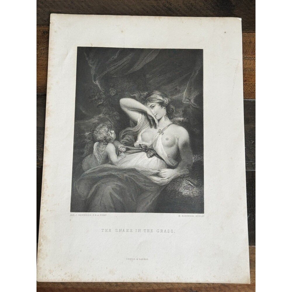 Original Antique Steel Engraving The Snake in the Grass Sir Joshua Reynolds